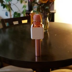 Karaoke microphone